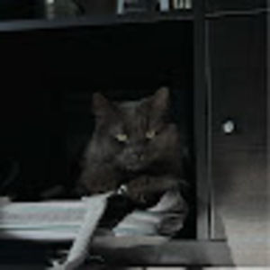 Meet your Posher, Ivan